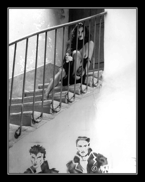 303 Rockers